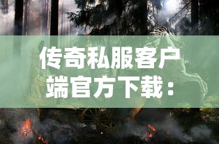 哪些高炮口子不用機審，五大2025最新網貸平臺舉報