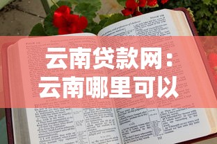 16周歲：看看這五個最好下款的貸款平臺