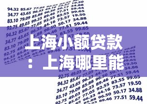 上海小額貸款：上海哪里能快速借到小額資金