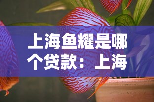 什么口子容易下款額度高，梳理5個(gè)2025最新高中生貸款平臺(tái)
