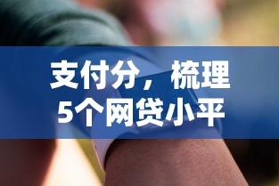 支付分，梳理5個網(wǎng)貸小平臺