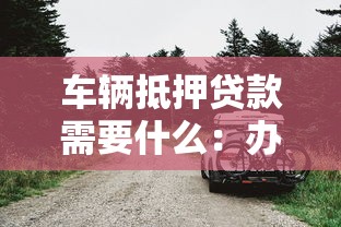 車輛抵押貸款需要什么：辦理車抵貸要準備哪些材料