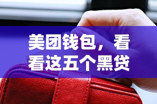 美團錢包，看看這五個黑貸款馬上下款的口子2025