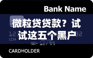 微粒貸貸款？試試這五個黑戶爛戶能過的購物平臺