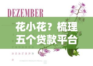 花小花？梳理五個貸款平臺都