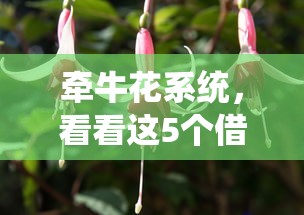 牽牛花系統，看看這5個借500元立馬到賬軟件