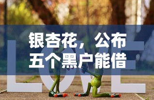銀杏花，公布五個黑戶能借的口子