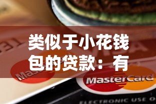類似于小花錢包的貸款：有哪些類似小花錢包的借款平臺(tái)