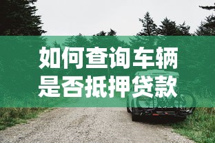 如何查詢車輛是否抵押貸款：怎樣快速查證車輛抵押貸款狀態(tài)