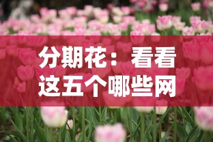 分期花：看看這五個哪些網貸平臺是正規(guī)的