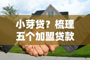 小芽貸？梳理五個(gè)加盟貸款平臺(tái)做代理