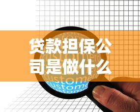 貸款擔保公司是做什么的：擔保機構如何助力企業融資