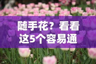 公積金貸款容易批嗎：公積金貸款審批難不難