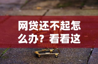 網貸還不起怎么辦？看看這五個網貸貸款平臺