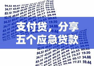 支付貸，分享五個應急貸款平臺