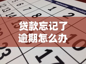 汽車綠本貸款：如何用機動車登記證申請貸款