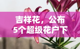 十大良心正規網貸平臺逾期協商，整理五個2025最新2025被風控了還能下款的平臺