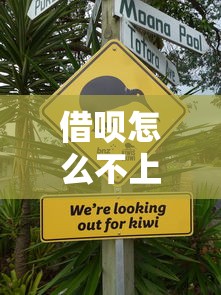 借唄怎么不上征信了，整合5個2025最新正規(guī)的網(wǎng)貸平臺