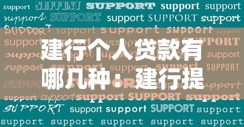 建行個人貸款有哪幾種：建行提供哪些個人貸款類型