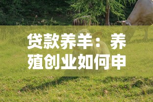 貸款養羊：養殖創業如何申請畜牧業貸款