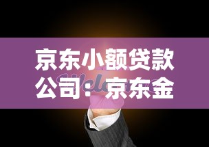 京東小額貸款公司：京東金融如何助力小微企業融資