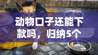動物口子還能下款嗎，歸納5個2025最新黑戶也能借錢的平臺