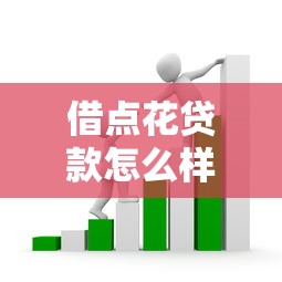 借點花貸款怎么樣：借點花平臺借貸體驗如何