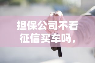 擔保公司不看征信買車嗎，解答五家2025最新不看征信貸款平臺