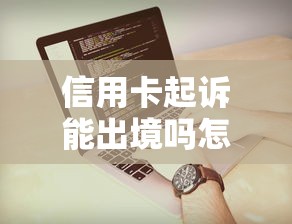 信用卡起訴能出境嗎怎么辦，同城五個2025最新容易下到款的平臺