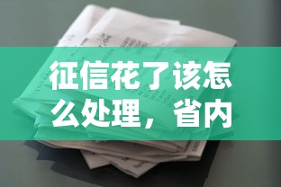 征信花了該怎么處理，省內五個2025最新正規汽車抵押貸款平臺