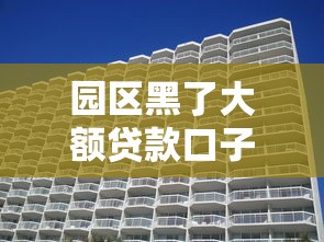 園區黑了大額貸款口子，五大2025最新好口子