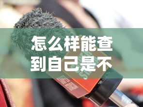 怎么樣能查到自己是不是黑戶，國(guó)內(nèi)五大2025最新網(wǎng)貸全拒能下款的平臺(tái)