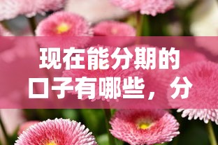現在能分期的口子有哪些，分析五個2025最新融享花一樣的平臺