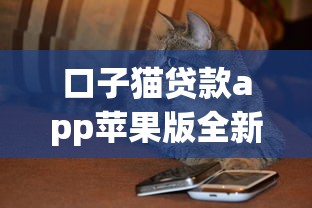 口子貓貸款app蘋果版全新升級，整合5個2025最新網絡借錢平臺好