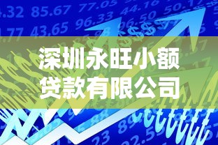 深圳永旺小額貸款有限公司：深圳永旺貸款業務可靠嗎
