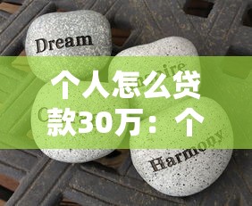個人怎么貸款30萬：個人如何申請30萬額度貸款