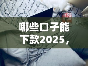 哪些口子能下款2025，分析五個2025最新有那些平臺可以借錢
