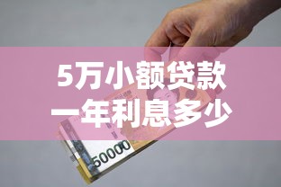 5萬小額貸款一年利息多少，探討五款2025最新黑戶微信借500的平臺