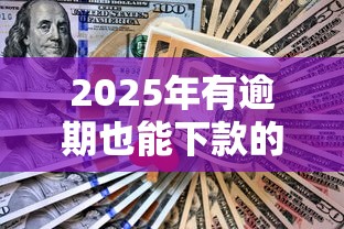2025年有逾期也能下款的網貸，省內五個2025最新不查詢征信的貸款平臺