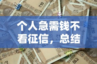 個人急需錢不看征信，總結(jié)五個2025最新貸款新口子不查征信2025