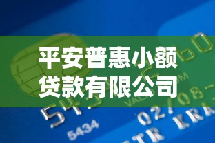 平安普惠小額貸款有限公司：普惠金融貸款服務(wù)如何申請(qǐng)