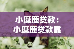 小糜鹿貸款：小糜鹿貸款靠譜嗎？如何申請(qǐng)？