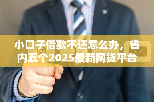 小口子借款不還怎么辦，省內五個2025最新網貸平臺投訴電話