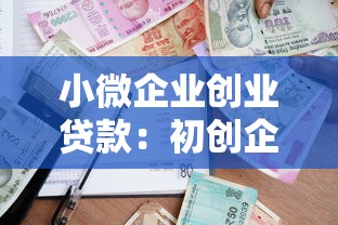 小微企業(yè)創(chuàng)業(yè)貸款：初創(chuàng)企業(yè)如何申請低息貸款