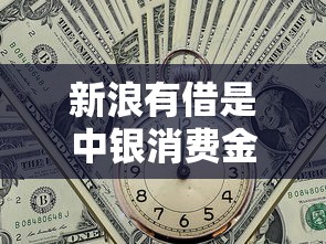 新浪有借是中銀消費金融嗎，整理五個2025最新黑戶網貸黑名單需要2萬能借款平臺
