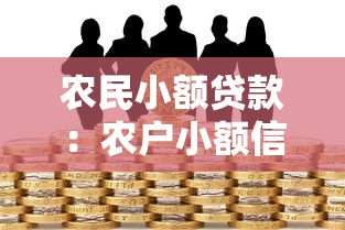 農(nóng)民小額貸款：農(nóng)戶小額信貸申請流程怎樣操作