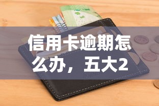 信用卡逾期怎么辦，五大2025最新網(wǎng)黑征信黑有沒(méi)有下款的口子