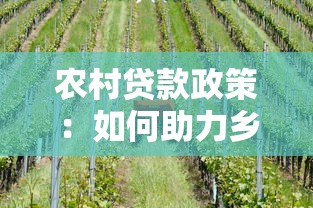 農村貸款政策：如何助力鄉村發展獲取金融支持