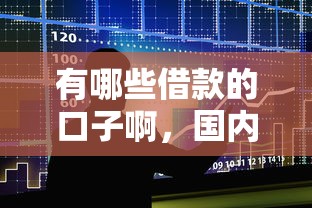 有哪些借款的口子啊，國內五大2025最新十七歲可以貸款的平臺