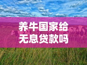 養牛國家給無息貸款嗎：養牛能否申請國家無息貸款